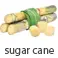 sugar cane